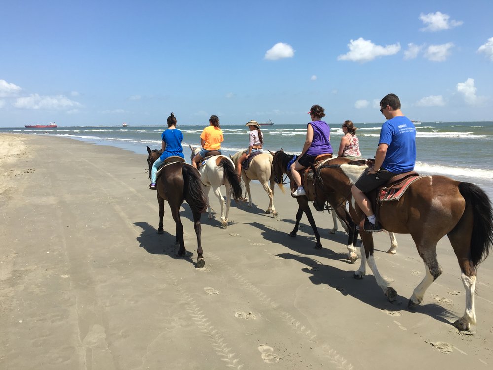 Galveston Island Horse and Pony Rides Logo