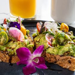 Dive Bar - Avocado Toast at Dive Bar West Palm Beach