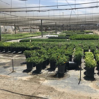 Sunshine Growers Nursery - Nurseries & Gardening Near Me - Eastvale, California Sunshine Growers Nursery - Nurseries & Gardening Near Me - Eastvale, California