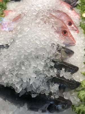 Fjord Fish Market by null