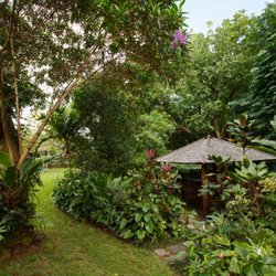 Kahaluu Gallery and Gardens - An Asian style gazebo at the entrance of the botanical garden