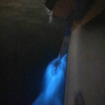 Fin & Fly Fishing Charters - Hands in the water causing the bioluminescent to appear - Boat Charters Near Me - Cocoa Beach, Florida Fin & Fly Fishing Charters - Hands in the water causing the bioluminescent to appear - Boat Charters Near Me - Cocoa Beach, Florida