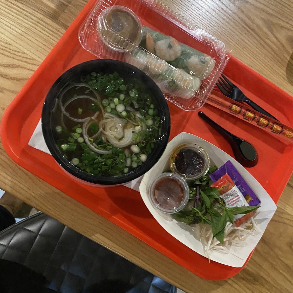 Spring rolls/ noodles and broth Spring rolls/ noodles and broth