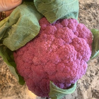 Pacific Coast Harvest - Food Delivery Services Near Me - Seattle, Washington Pacific Coast Harvest - Food Delivery Services Near Me - Seattle, Washington