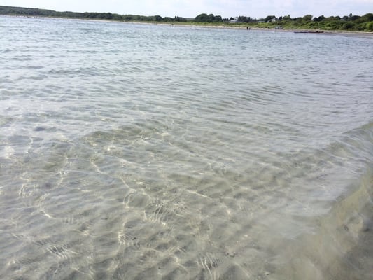 Crescent Beach State Park by null