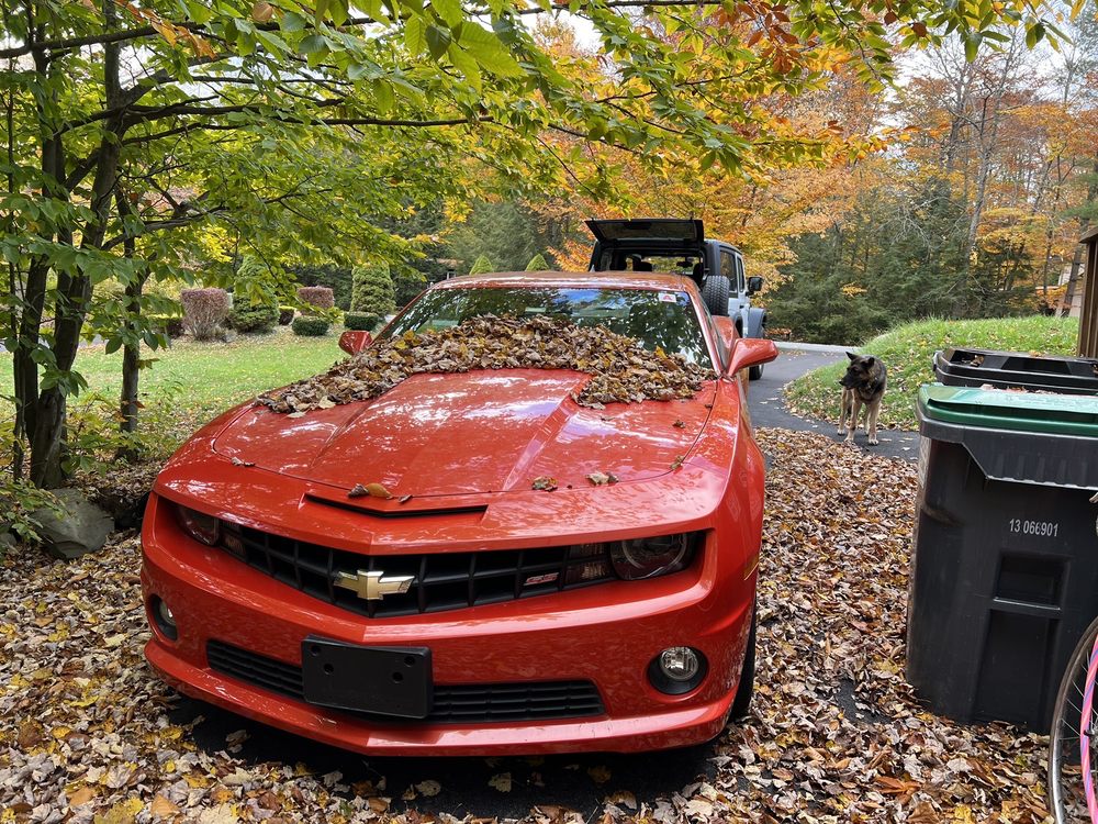 LIBERTY AUTO TAGS Levittown Shopping C, Bristol, Pennsylvania