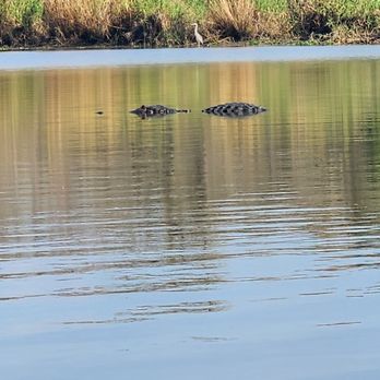 Pinky's Kayak Rentals - Alligator - Rafting/Kayaking Near Me - El Lago, Texas