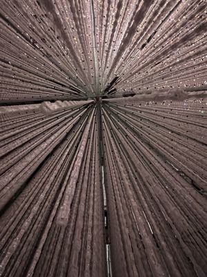 teamLab Borderless: MORI Building DIGITAL ART MUSEUM by null teamLab Borderless: MORI Building DIGITAL ART MUSEUM by null