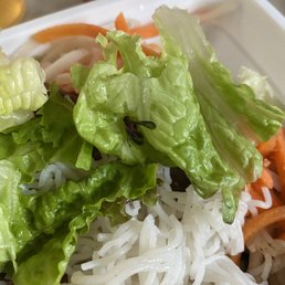 Fly in the Rice Vermicelli Salad