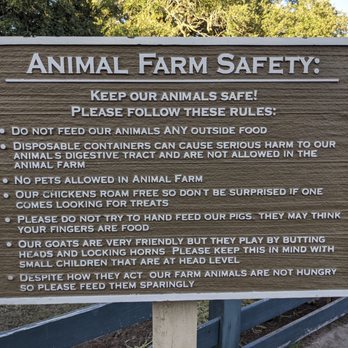 Lawton Stables - Rules of the animal farm - Horse Boarding Near Me - Hilton Head Island, South Carolina