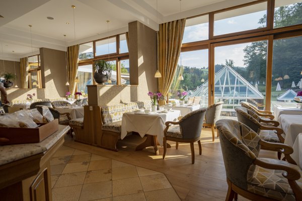 Hotel Deimann by null