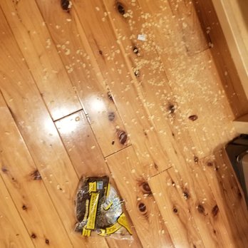 Pro Maids - After sweeping out a cabinet. - Office Cleaning Near Me Pro Maids - After sweeping out a cabinet. - Office Cleaning Near Me