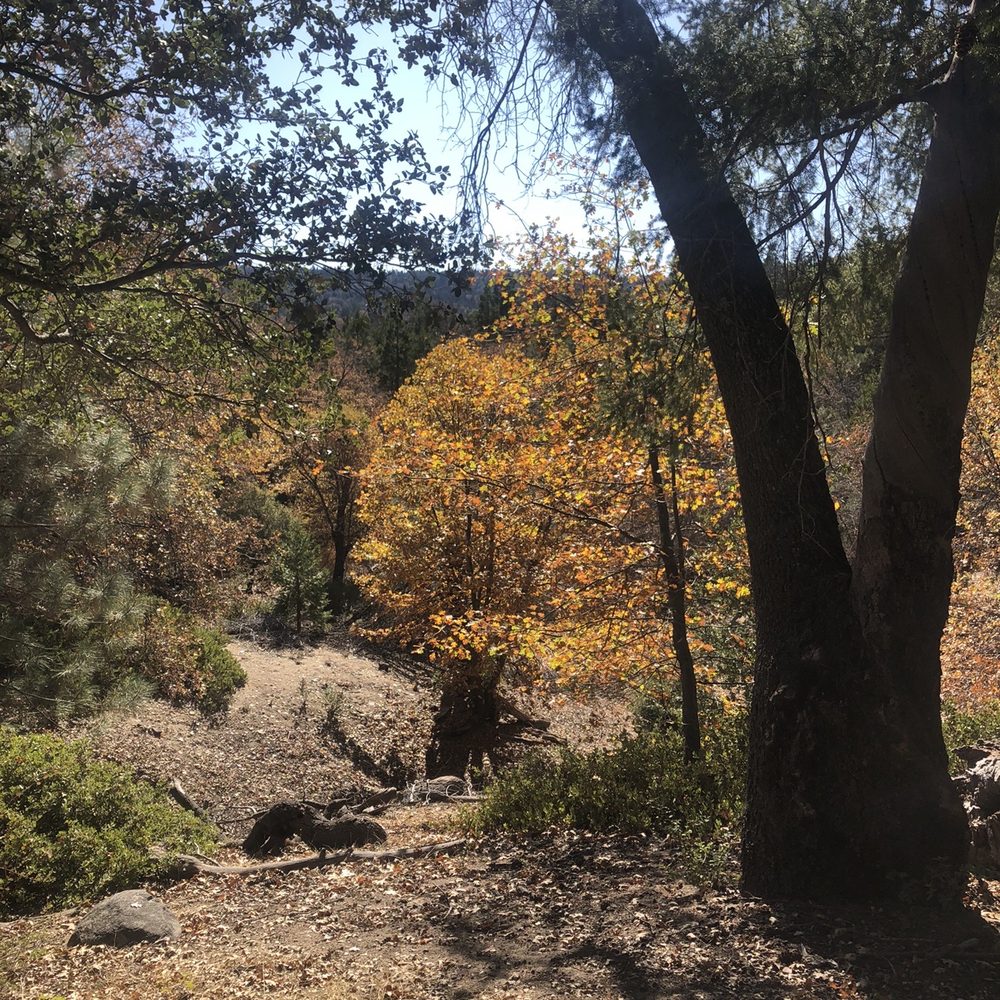 Palomar Mountain-Observatory Trail - Observatories Near Me