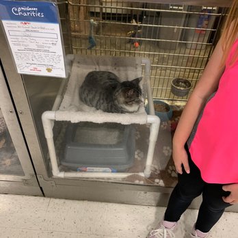 PetSmart - Awww - Pet Stores Near Me - Watauga, Texas