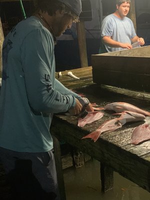 Venice Marina by null