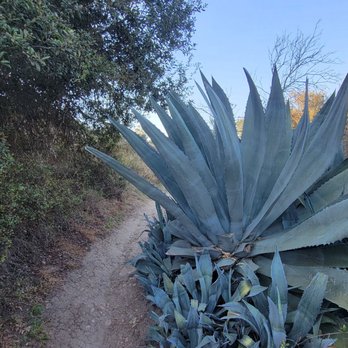 Tecolote Canyon - Hiking Near Me - San Diego, California Tecolote Canyon - Hiking Near Me - San Diego, California