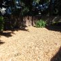 Local Lawns Plus
