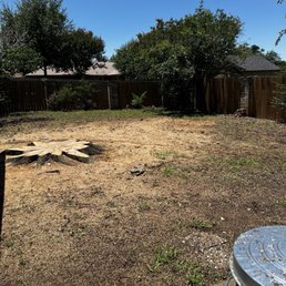 Tree removal Tree removal
