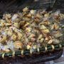 Photo of Dynasty Buffet