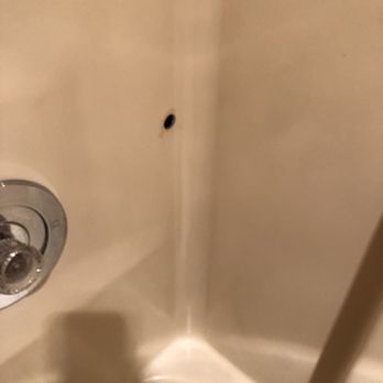 Econo Lodge - Holes in there shower that go to the other room!!!!!!! - Hotels Near Me - Sanford, North Carolina Econo Lodge - Holes in there shower that go to the other room!!!!!!! - Hotels Near Me - Sanford, North Carolina