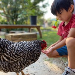 The Montessori Academy of Arlington - Early Childhood - Care for Animals
