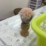 Photo of New V Nail & Spa