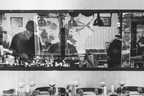 Stubborn Seed - Miami Beach by null