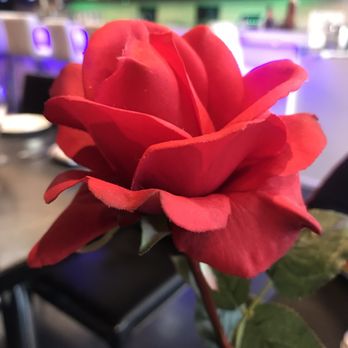 Cafe Mediterranean - Natural flower for center pieces - Mediterranean Near Me - Cincinnati, Ohio Cafe Mediterranean - Natural flower for center pieces - Mediterranean Near Me - Cincinnati, Ohio