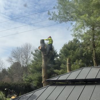 O'Brien Outdoors Tree Service - Tree Services Near Me O'Brien Outdoors Tree Service - Tree Services Near Me