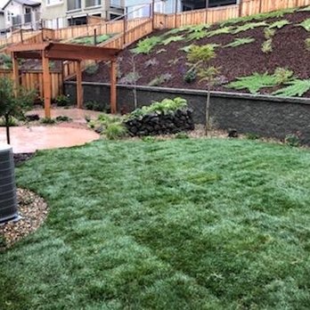 Jefferson Landscape & Design - New lawn & trees - Landscaping Near Me Jefferson Landscape & Design - New lawn & trees - Landscaping Near Me