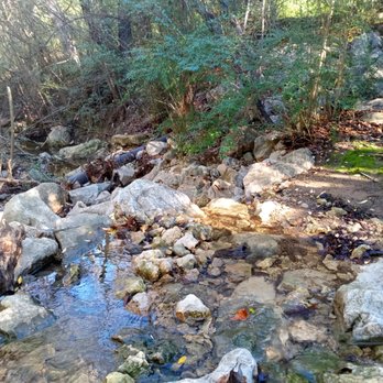 Tandy Hills Natural Area - A freely-flowing stream in the 13th largest city in the country? Believe it. - Parks Near Me - Fort Worth, Texas Tandy Hills Natural Area - A freely-flowing stream in the 13th largest city in the country? Believe it. - Parks Near Me - Fort Worth, Texas