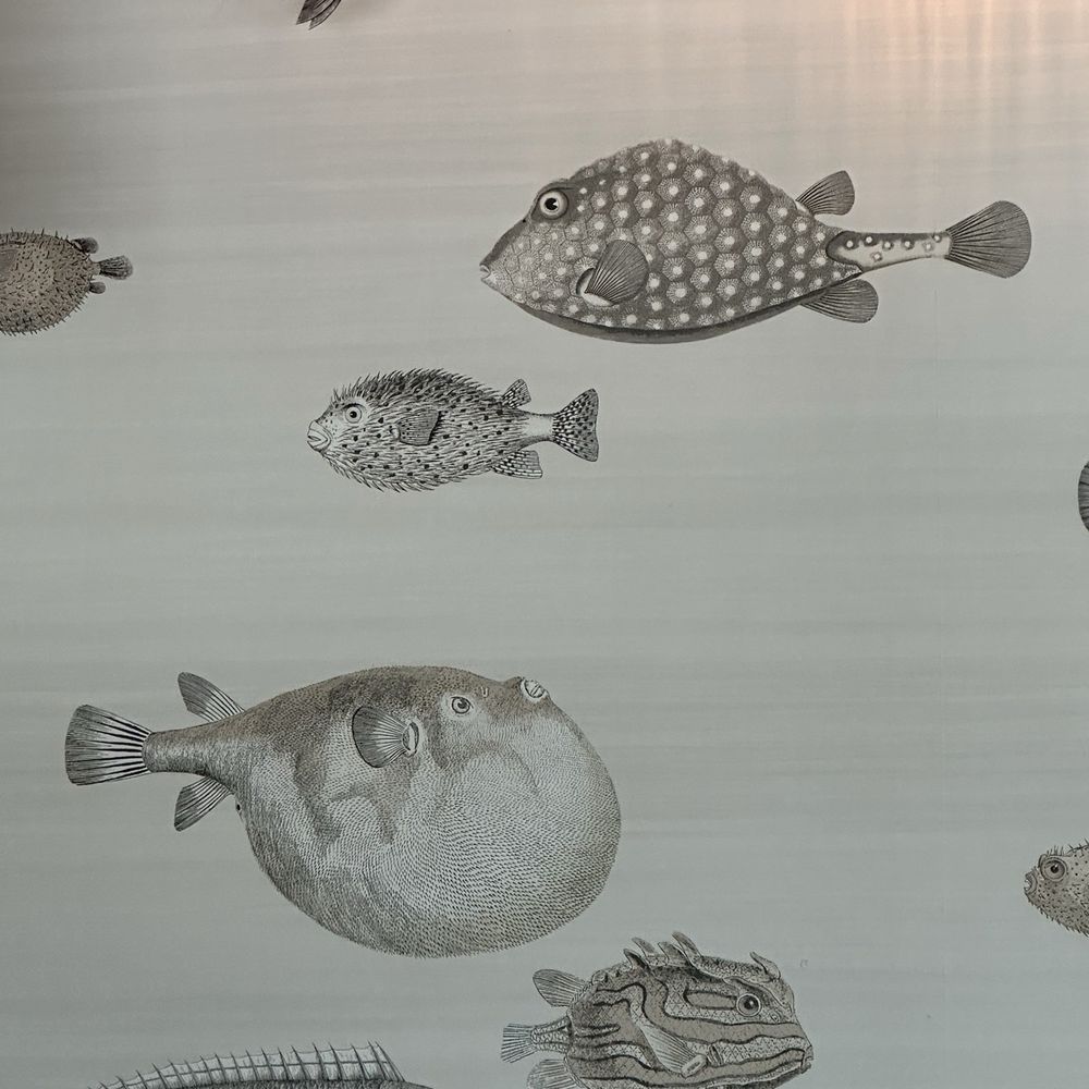 Little Pearl - The Wallpaper Whimsy!! - New American Near Me - Key West, Florida