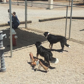 Goin to Grandma's - Pet Sitting Near Me - Hereford, Arizona Goin to Grandma's - Pet Sitting Near Me - Hereford, Arizona