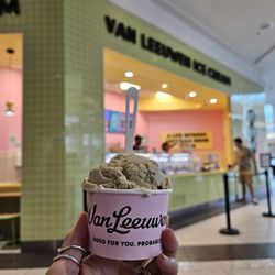 Van Leeuwen Ice Cream - Roosevelt Field Mall - One scoop of Sicilian Pistachio ice cream: 10/10.