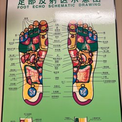 Magic Feet Reflexology - Foot Echo Schematic Drawing