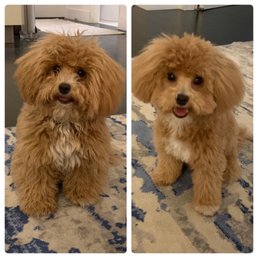 Before & After