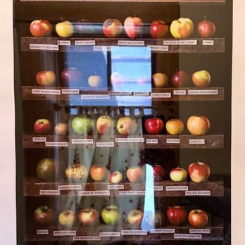 Finger Lakes Cider House - Apples - Cideries Near Me - Interlaken, New York Finger Lakes Cider House - Apples - Cideries Near Me - Interlaken, New York
