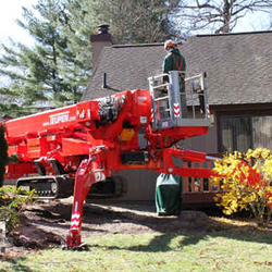 Mclellan Tree Service