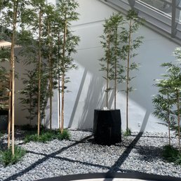 Berman Skin Institute 14 Photos 125 Reviews Dermatologists 100 Pringle Ave Walnut Creek Ca Phone Number Services Yelp