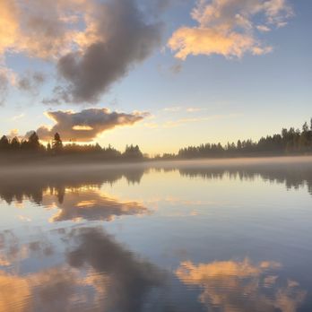 Pine Lake Park - Parks Near Me - Sammamish, Washington Pine Lake Park - Parks Near Me - Sammamish, Washington