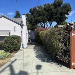 The driveway was completely overgrown with roses and bougainvillea, and is now useable again. The driveway was completely overgrown with roses and bougainvillea, and is now useable again.