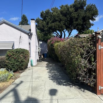 EarthEye Landscape - The driveway was completely overgrown with roses and bougainvillea, and is now useable again. - Landscaping Near Me EarthEye Landscape - The driveway was completely overgrown with roses and bougainvillea, and is now useable again. - Landscaping Near Me