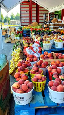 WNC Farmers Market by null