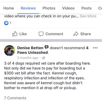 4 Paws Unleashed - Review - Pet Sitting Near Me - Clive, Iowa 4 Paws Unleashed - Review - Pet Sitting Near Me - Clive, Iowa