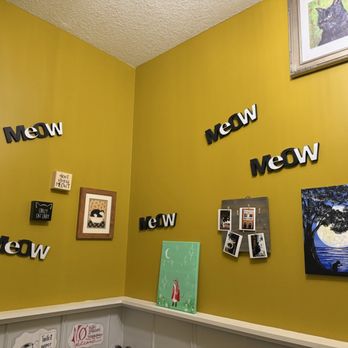 The Witty Whisker Cat Cafe - Themed Cafes Near Me - St. Augustine, Florida