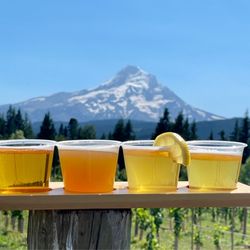 Mountain View Brewing - Flight with a breathtaking view!
