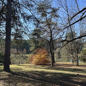 Bernheim Forest and Arboretum - Pretty - Parks Near Me - Clermont, Kentucky