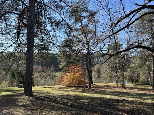 Bernheim Forest and Arboretum by null