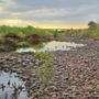 Nina Mason Pulliam Rio Salado Audubon Center