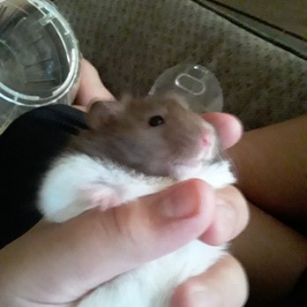 Farmers Feed - Adorable baby - Pet Stores Near Me - Stockton, California Farmers Feed - Adorable baby - Pet Stores Near Me - Stockton, California